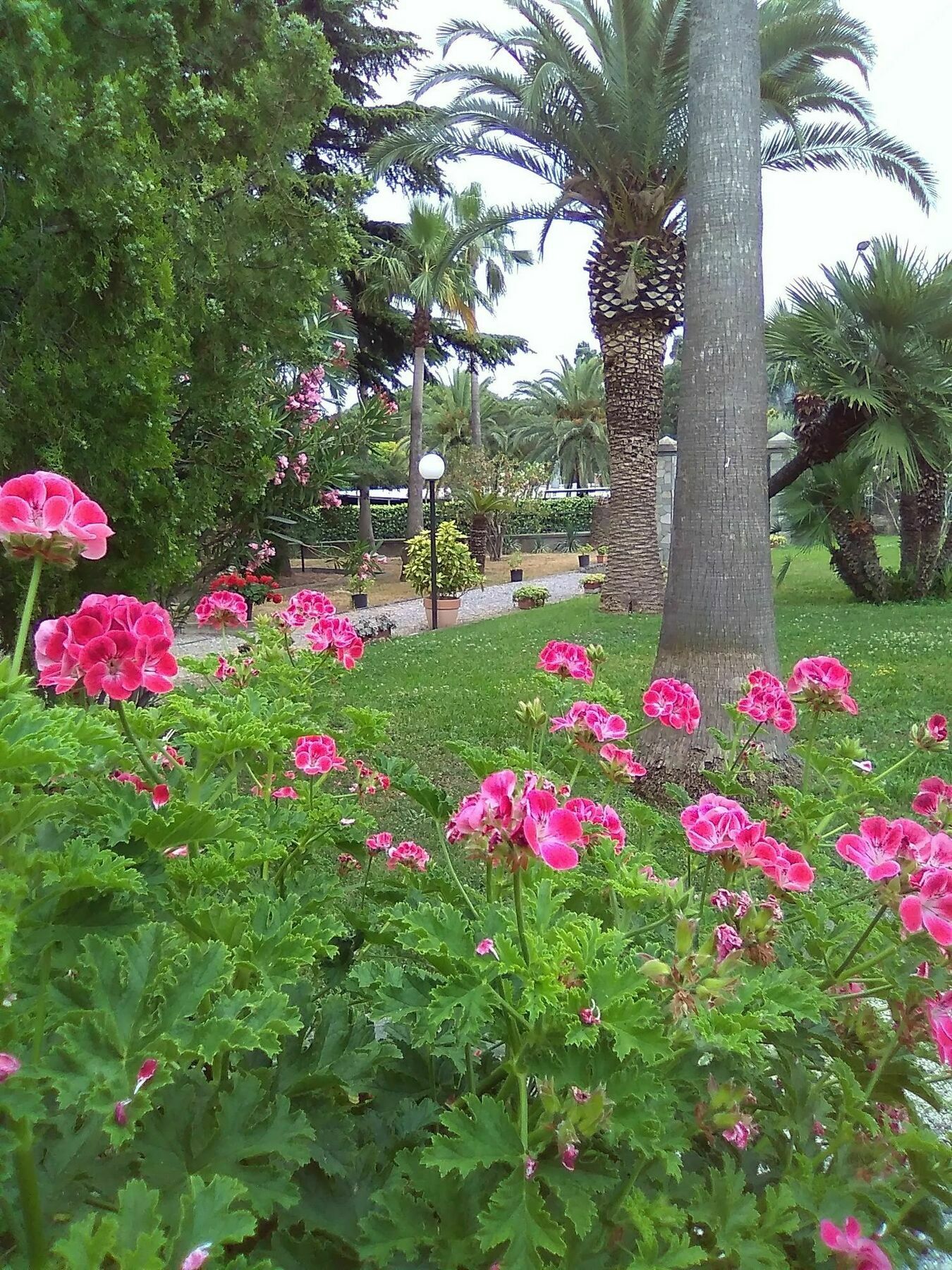 Villa Paola Loano Buitenkant foto