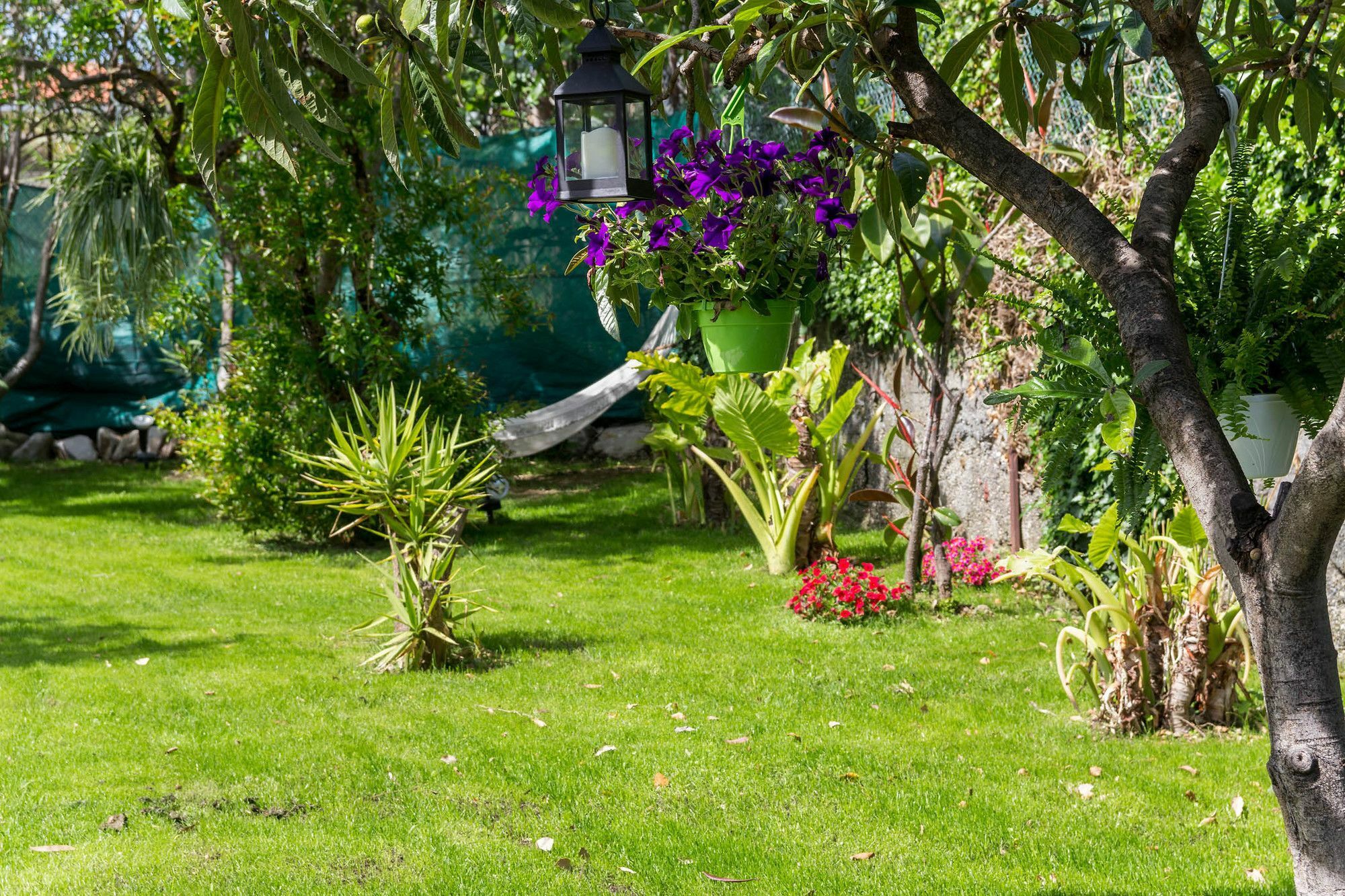 Villa Paola Loano Buitenkant foto