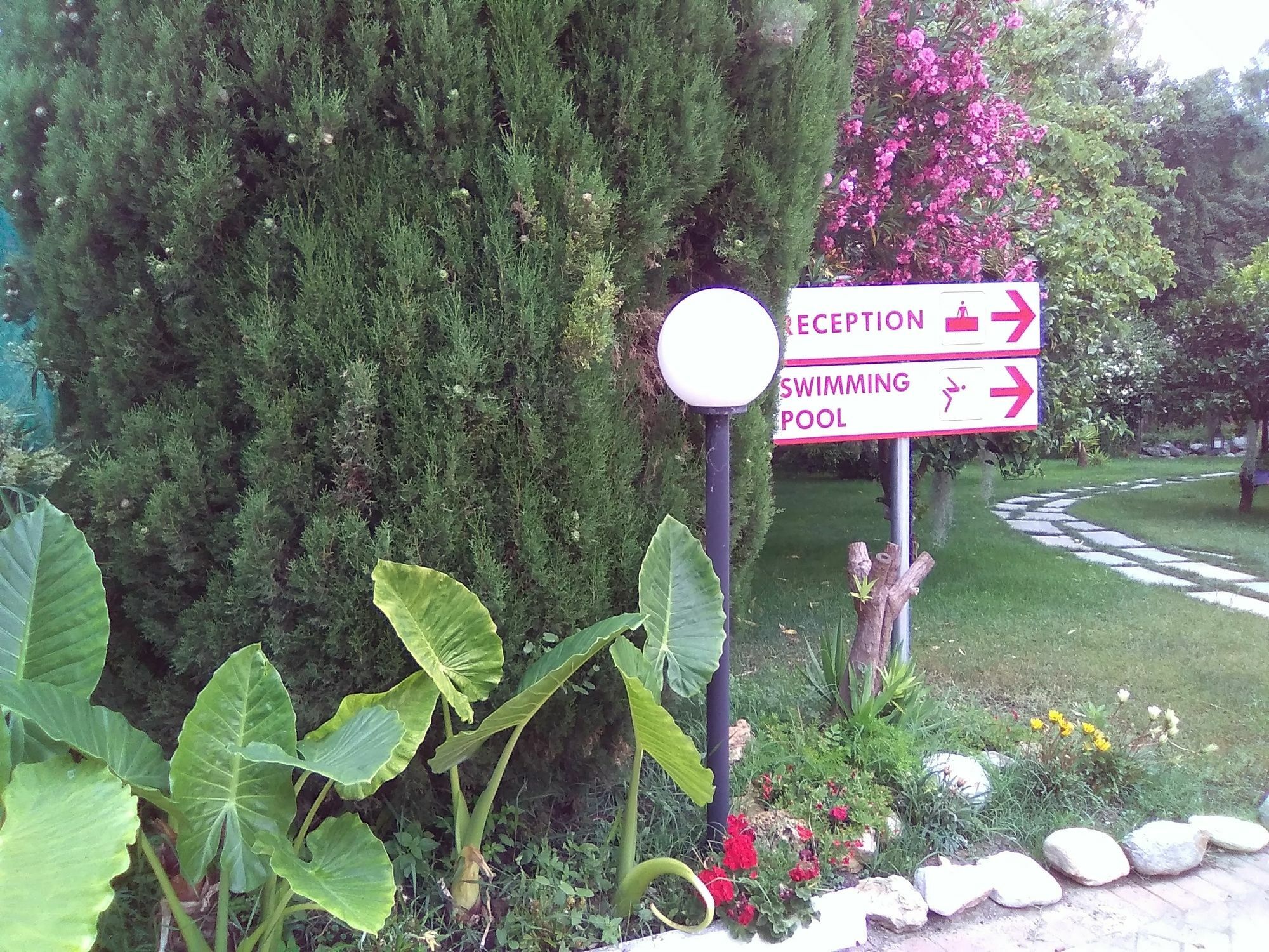 Villa Paola Loano Buitenkant foto